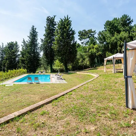 Romeo With Swimming Pool